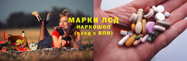 ECSTASY Инсар