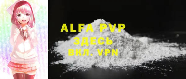 ГАЛЛЮЦИНОГЕННЫЕ ГРИБЫ Инта