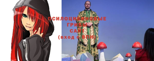 ГАЛЛЮЦИНОГЕННЫЕ ГРИБЫ Инта