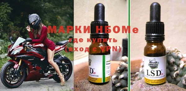 ГАЛЛЮЦИНОГЕННЫЕ ГРИБЫ Инта