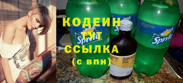 ГАЛЛЮЦИНОГЕННЫЕ ГРИБЫ Инта