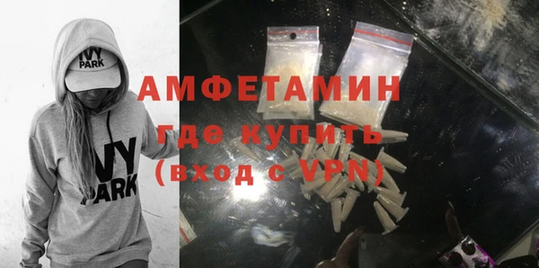 ГАЛЛЮЦИНОГЕННЫЕ ГРИБЫ Инта