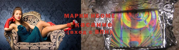 ГАЛЛЮЦИНОГЕННЫЕ ГРИБЫ Инта